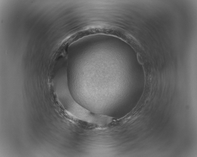 X0000053080822200507251523