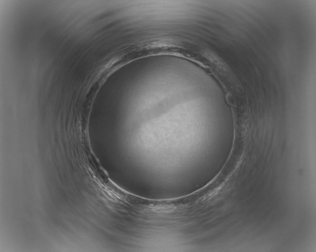 X0000053080825200507251523