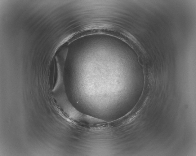 X0000053080826200507251523