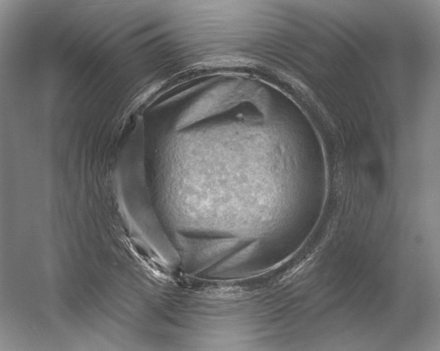 X0000053080833200507251523