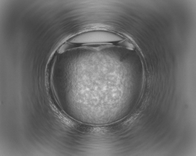 X0000053080835200507251523