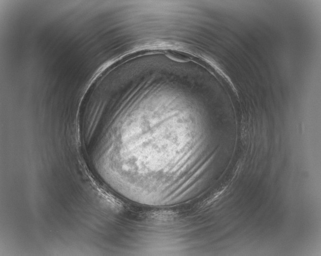X0000053080837200507251523