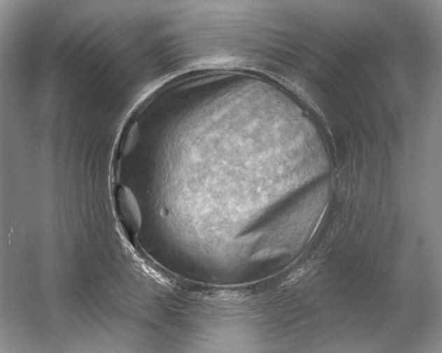 X0000053080839200507251523