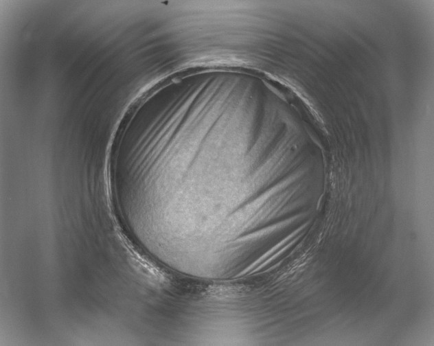 X0000053080840200507251524