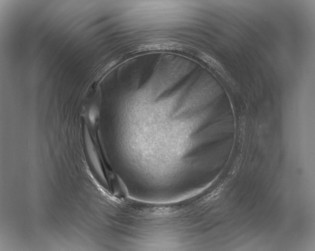X0000053080841200507251524