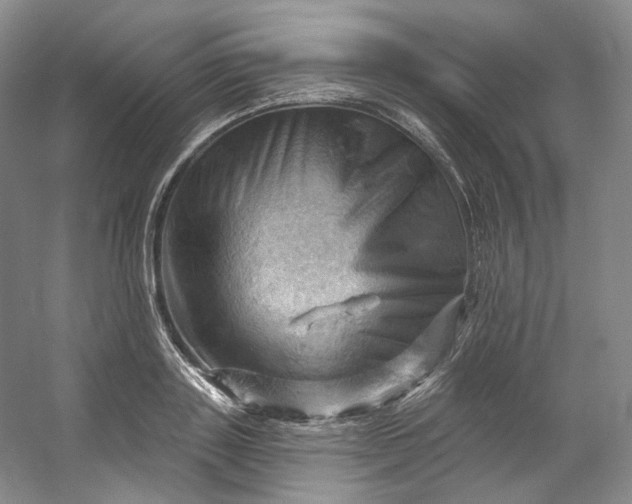 X0000053080843200507251524