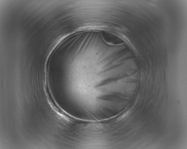 X0000053080844200507251524