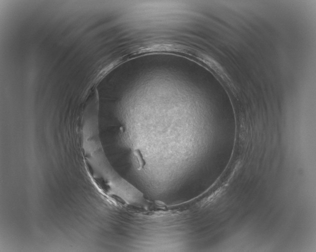 X0000053080849200507251524