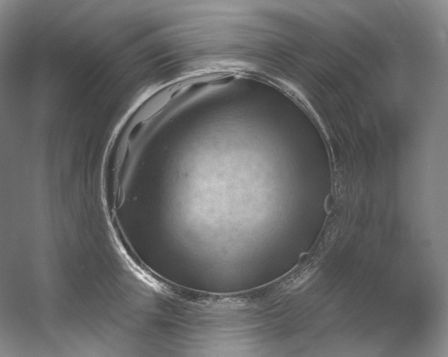 X0000053080851200507251524