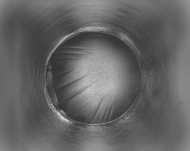 X0000053080852200507251524