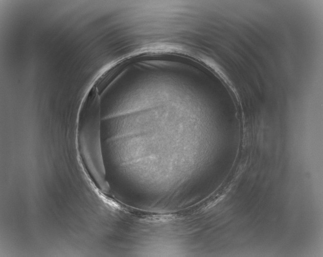 X0000053080853200507251524