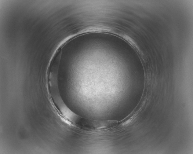 X0000053080854200507251524