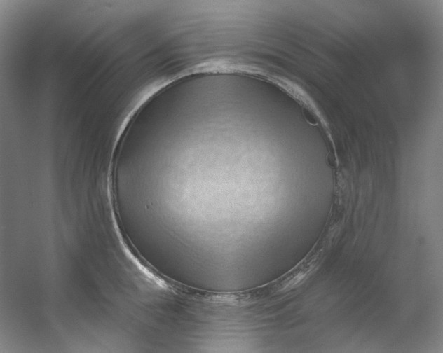 X0000053080855200507251524