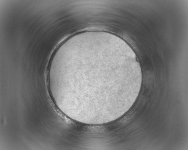 X0000053080856200507251524