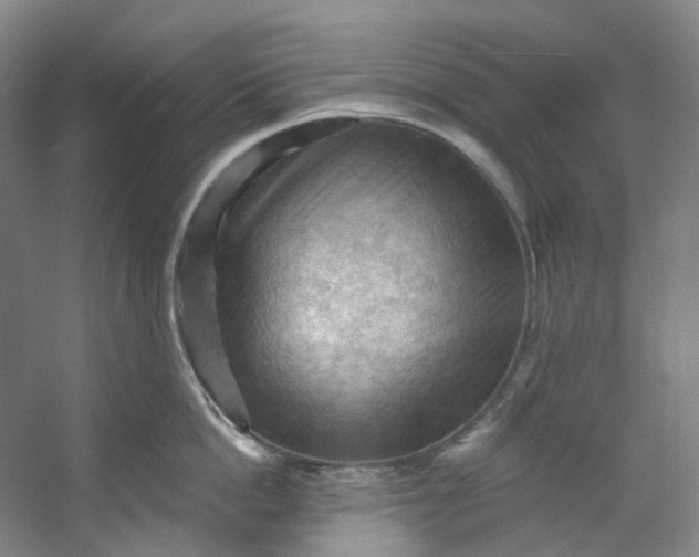 X0000053080862200507251524