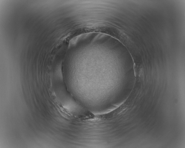X0000053080868200507251523