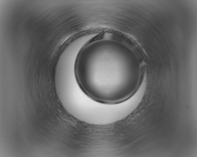 X0000053080871200507251523