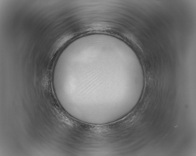 X0000053080874200507251523