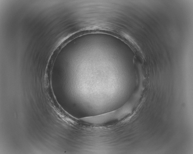 X0000053080876200507251523