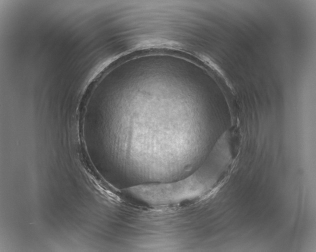 X0000053080877200507251523