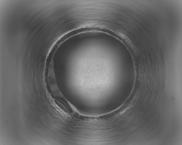X0000053080880200507251523