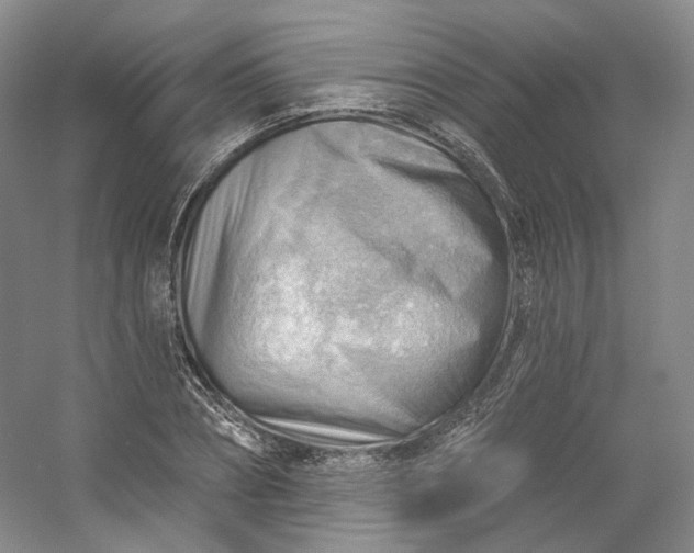 X0000053080882200507251523