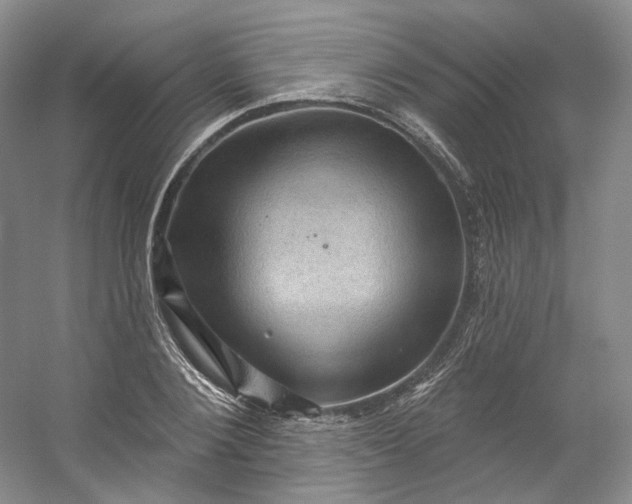 X0000053080884200507251523