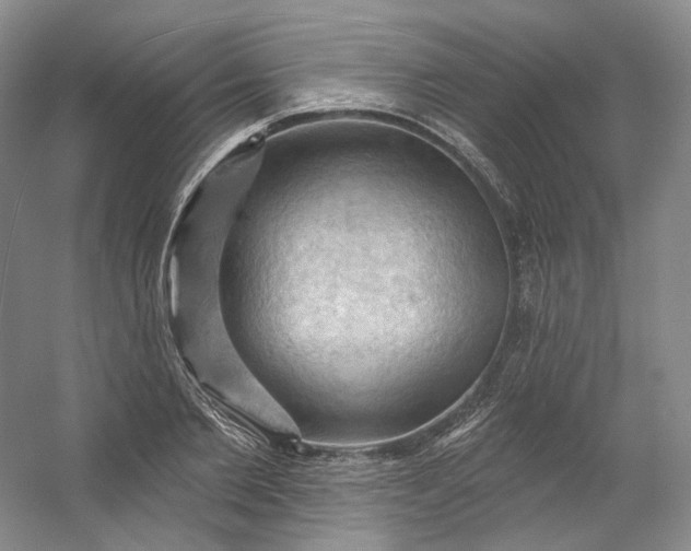 X0000053080885200507251523