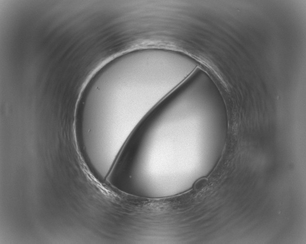 X0000053080888200507251523