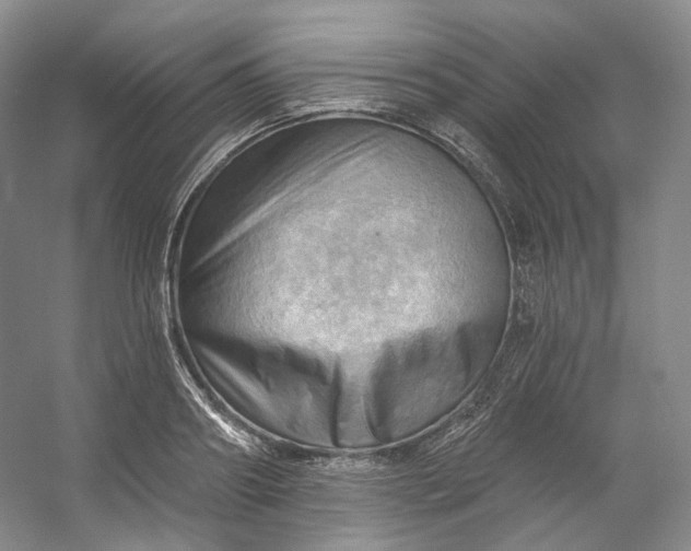 X0000053080890200507251523