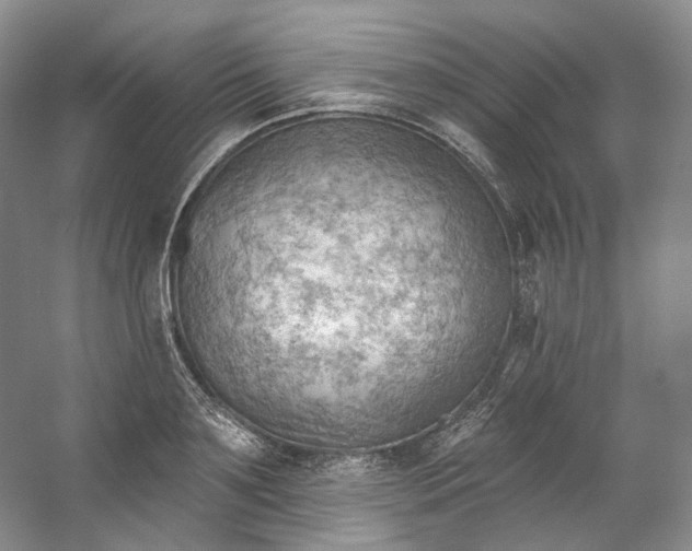 X0000053080891200507251523
