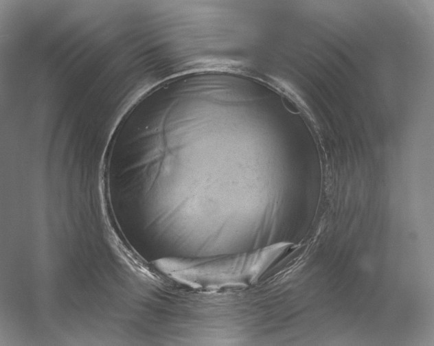 X0000053080899200507251523