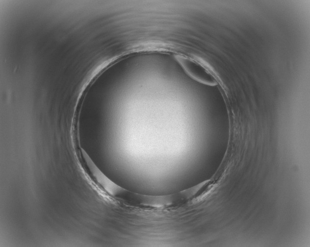 X0000053080901200507251522