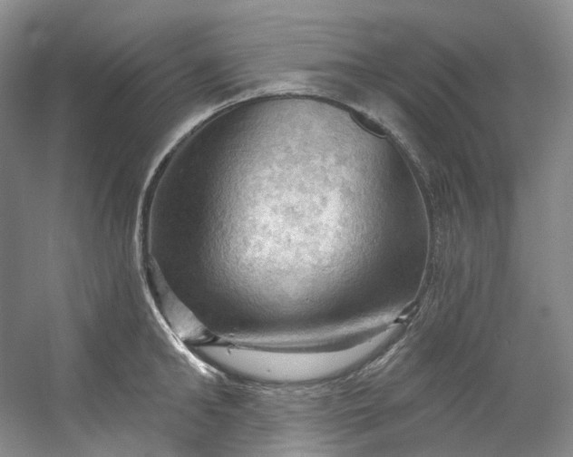 X0000053080902200507251522