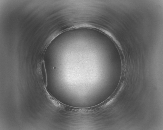 X0000053080905200507251522