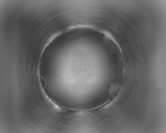 X0000053080906200507251522