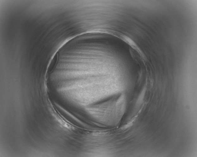 X0000053080908200507251522