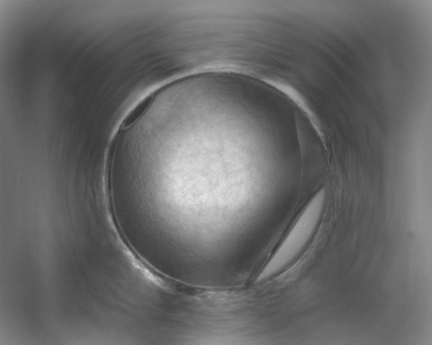 X0000053080910200507251522