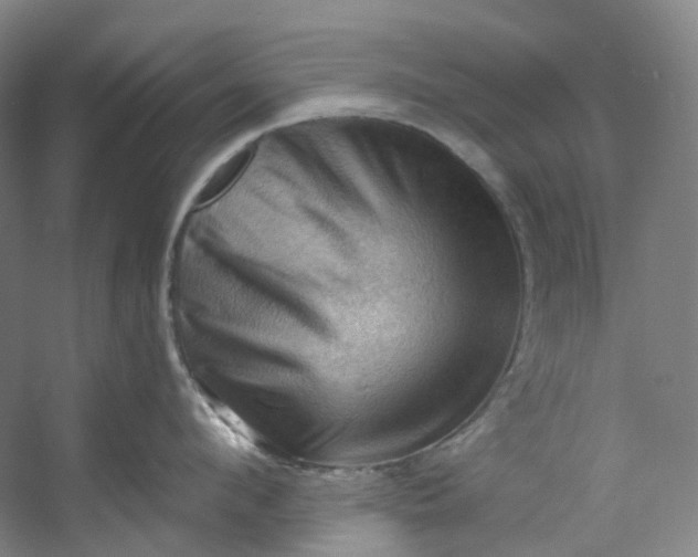 X0000053080912200507251522