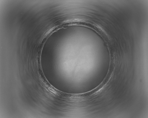 X0000053080921200507251522
