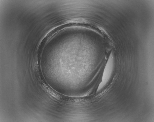 X0000053080923200507251522