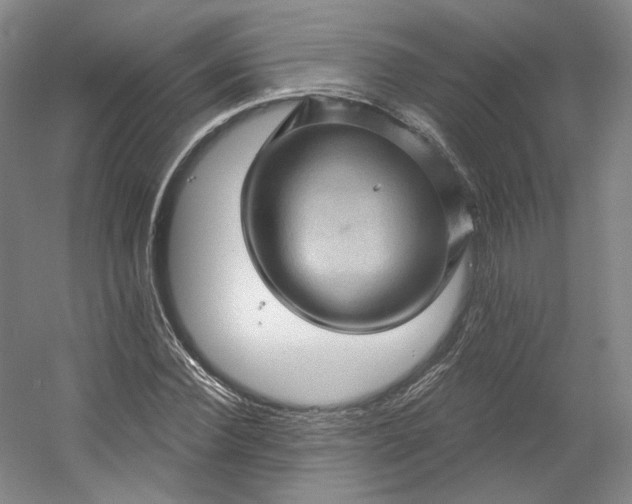 X0000053080924200507251522