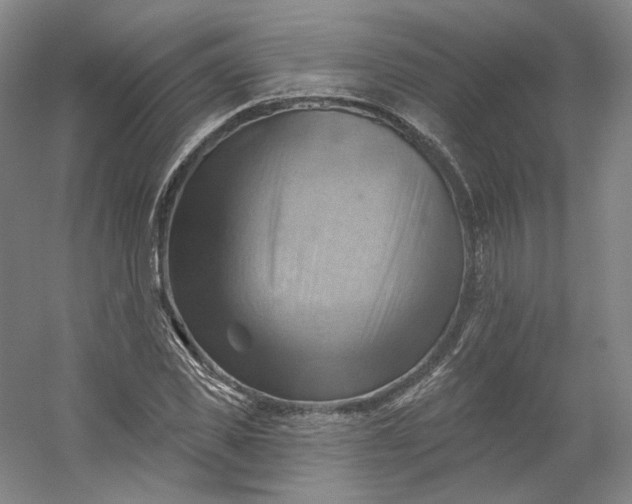 X0000053080925200507251522