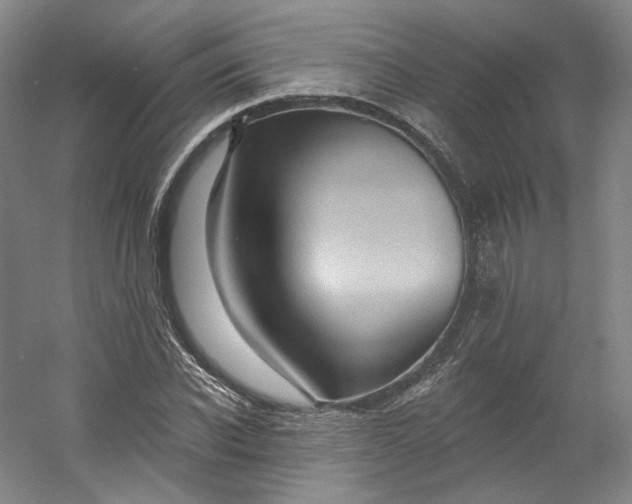 X0000053080926200507251522