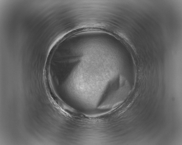 X0000053080928200507251522