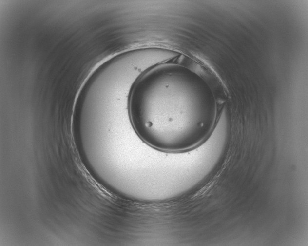 X0000053080932200507251522