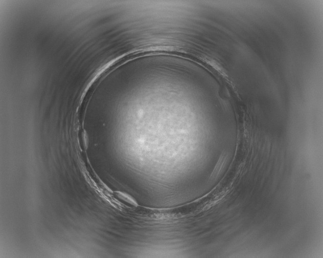 X0000053080933200507251522
