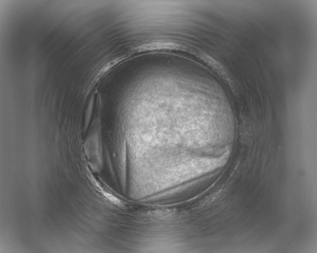 X0000053080937200507251522