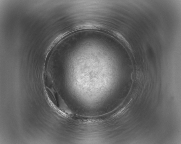 X0000053080938200507251522