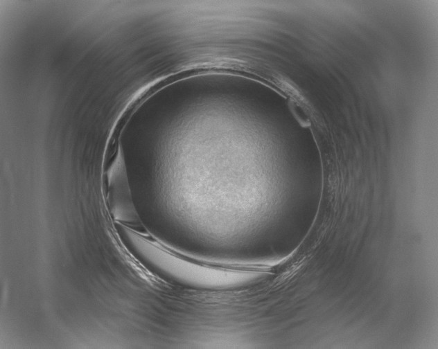 X0000053080940200507251522
